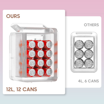 Mini-Kühlschrank mit Spiegeltür Tragbarer 12L Kühler