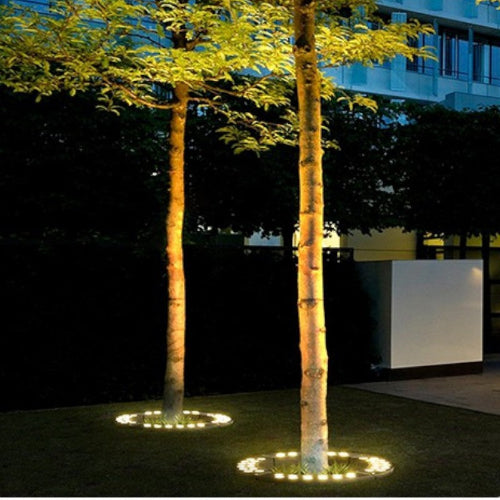 Outdoor Lighting Ring for Tree Illumination