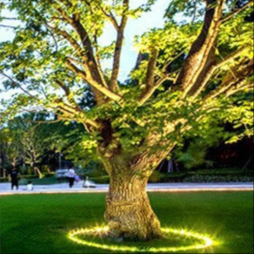 Outdoor Lighting Ring for Tree Illumination
