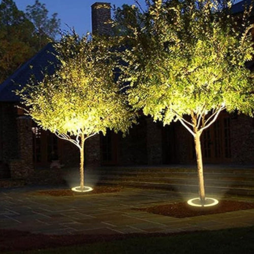 Outdoor Lighting Ring for Tree Illumination