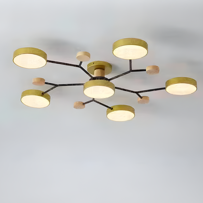 Ceiling Light Modern LED Flush Mount Chandelier