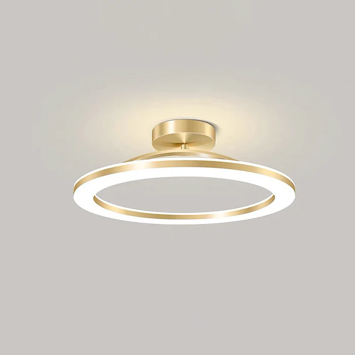 Contemporary Iron LED Ceiling Light for Hallways - Stylish Modern Illumination for Your Home Entrance and Corridors