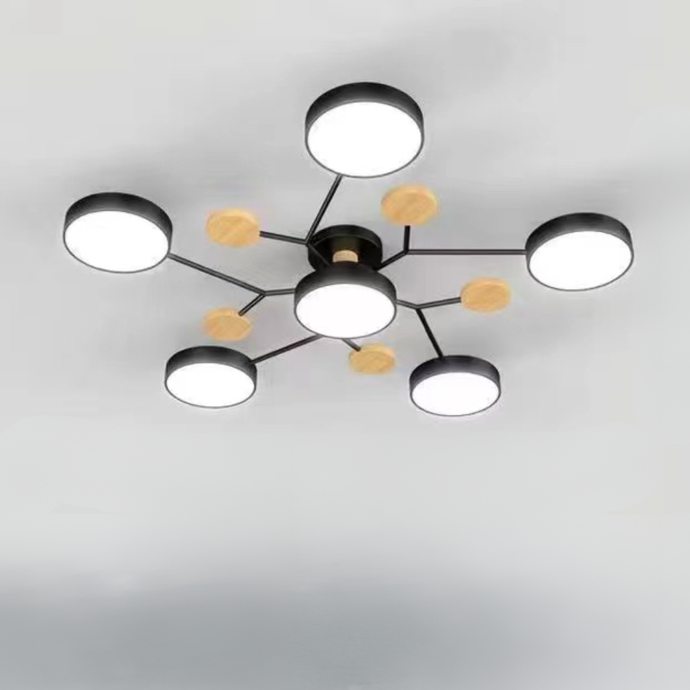 Ceiling Light Modern LED Flush Mount Chandelier