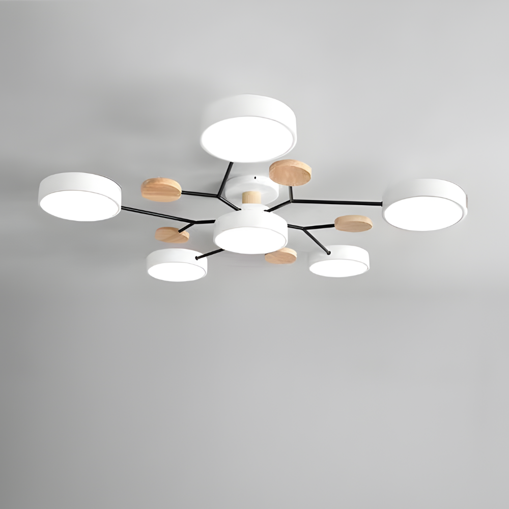 Ceiling Light Modern LED Flush Mount Chandelier