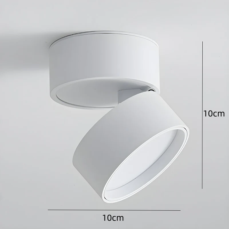 Contemporary Mini Surface-Mounted Adjustable Ceiling Light Fixture for Modern Interiors and Versatile Lighting Solutions