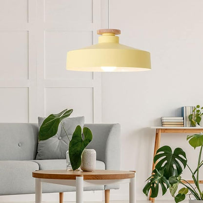 Pendant Light in Colourful Metal Finish