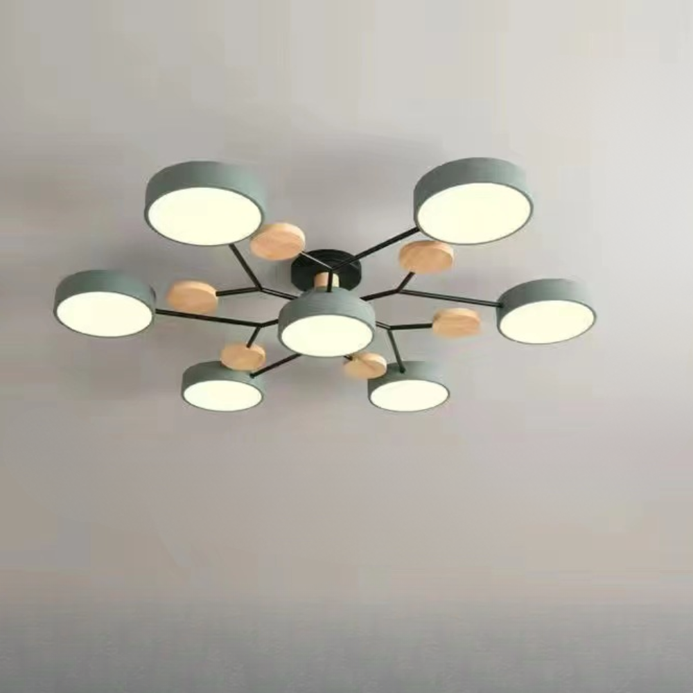 Ceiling Light Modern LED Flush Mount Chandelier