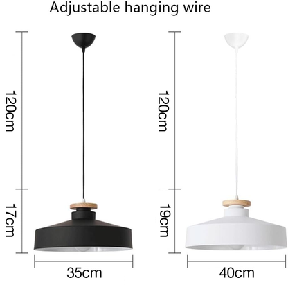 Pendant Light in Colourful Metal Finish