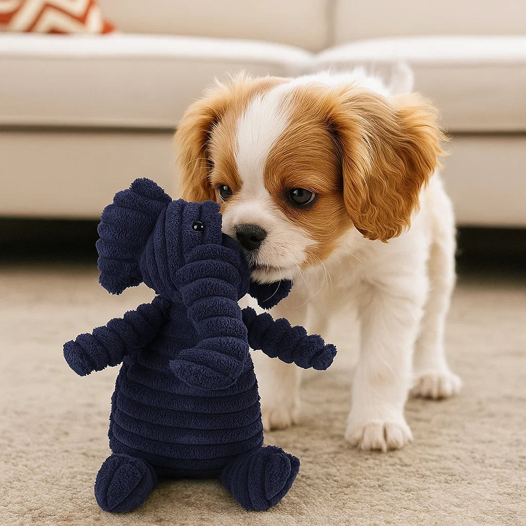 Giocattolo per cane in peluche con squeaky da masticare animale
