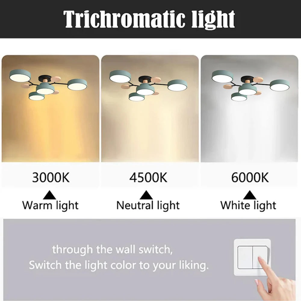 Ceiling Light Modern LED Flush Mount Chandelier