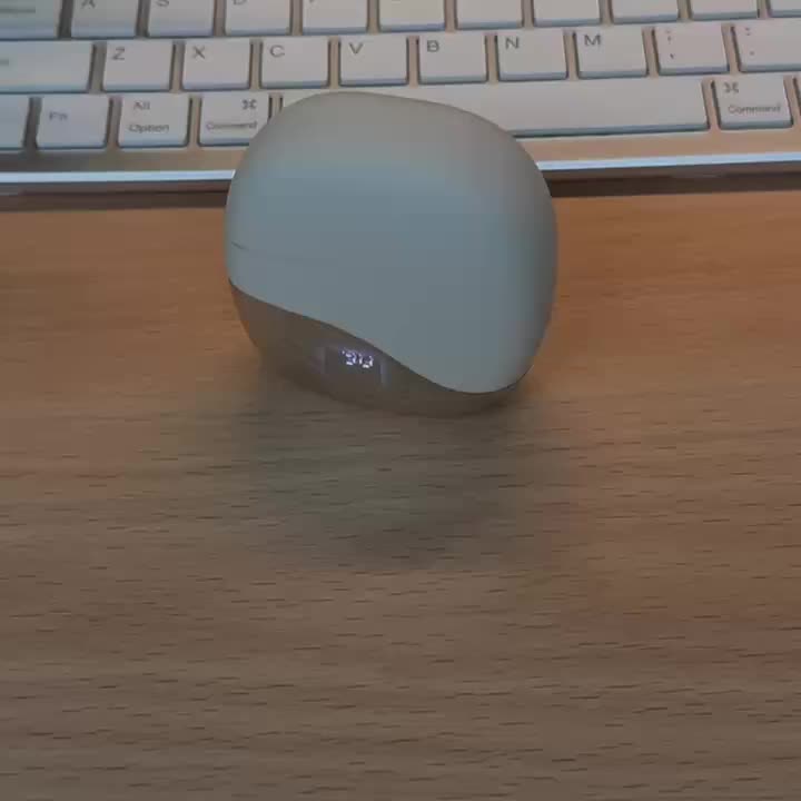AI Translating Earbuds Real Time Language