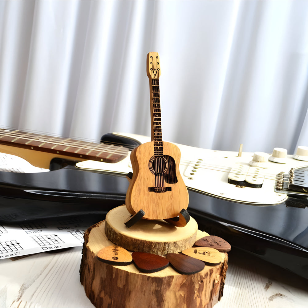 Acoustic Guitar Pick Storage Box