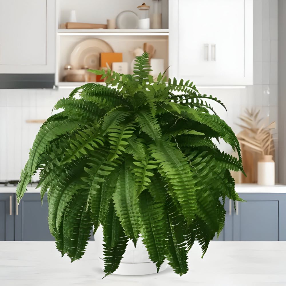 Artificial Boston Fern Home Decor Plant