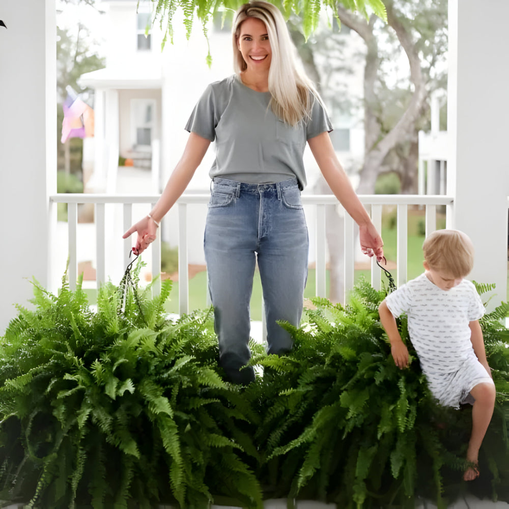 Artificial Boston Fern Home Decor Plant