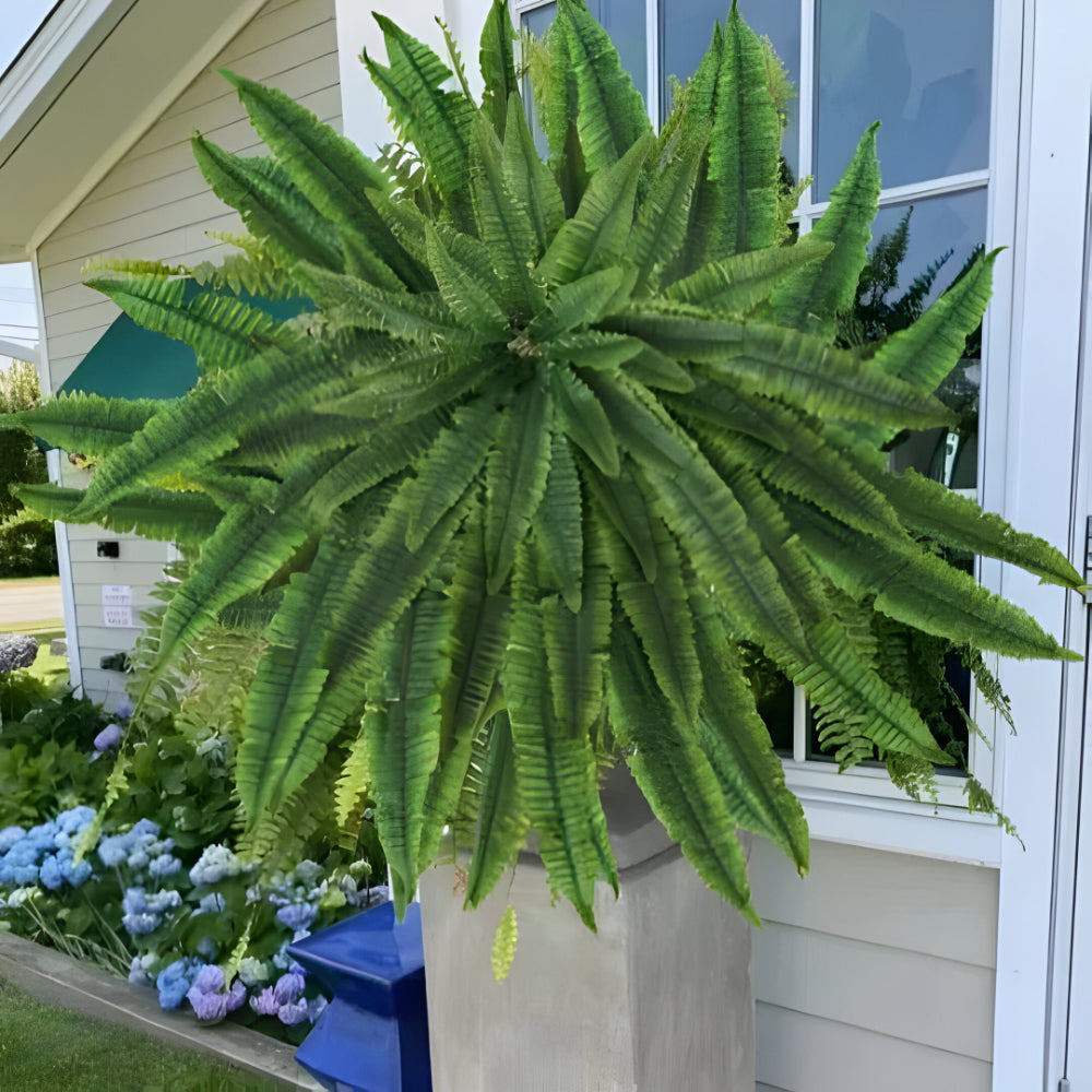 Artificial Boston Fern Home Decor Plant