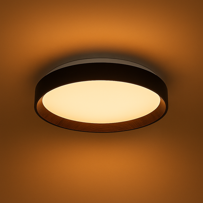 Deckenleuchten LED Modern Rund Aufputz Innenleuchte