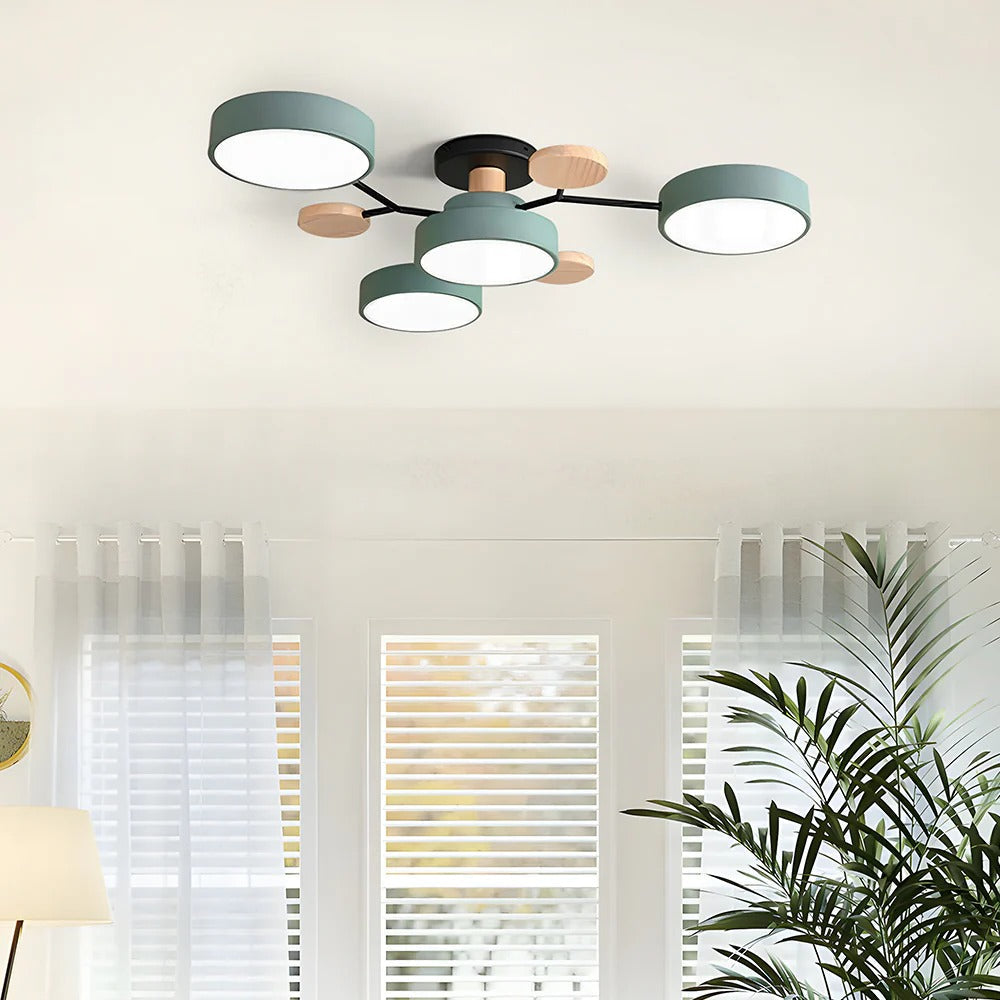 Ceiling Light Modern LED Flush Mount Chandelier