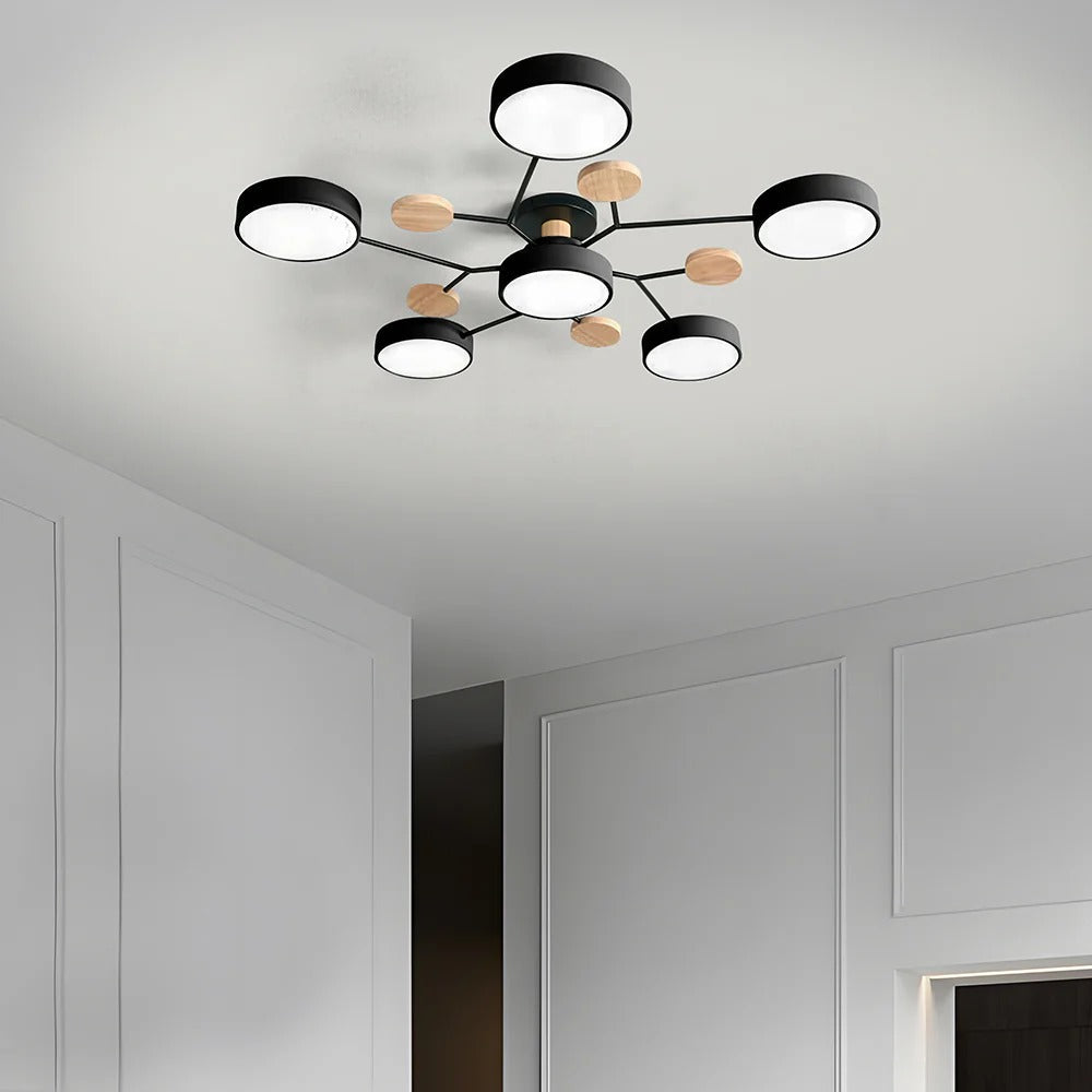 Ceiling Light Modern LED Flush Mount Chandelier