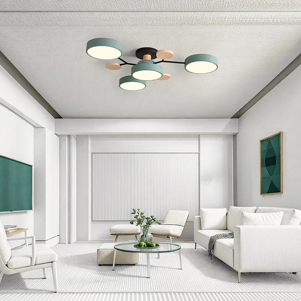 Ceiling Light Modern LED Flush Mount Chandelier