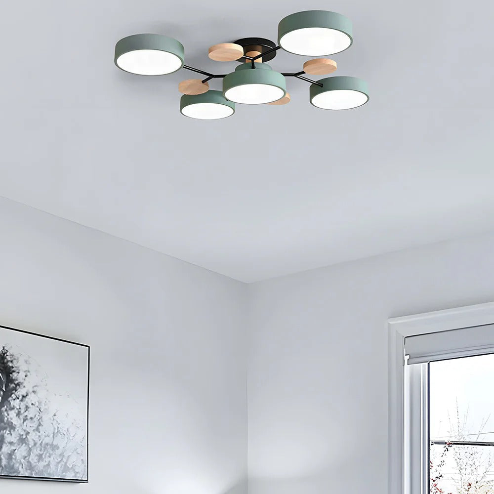 Ceiling Light Modern LED Flush Mount Chandelier