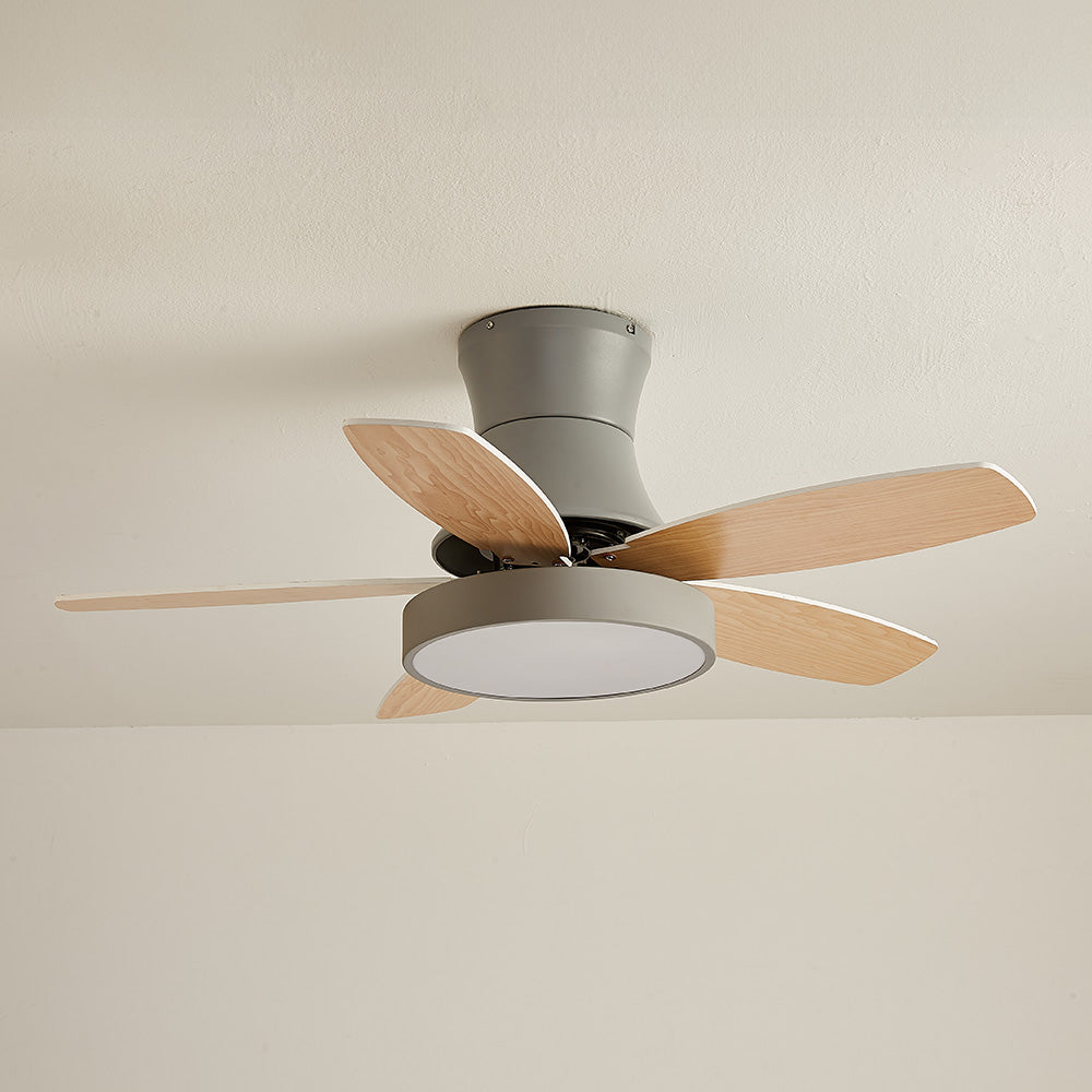 Acrylic Minimalist LED Ceiling Fan with Light for Stylish Bedroom Comfort and Modern Home Décor