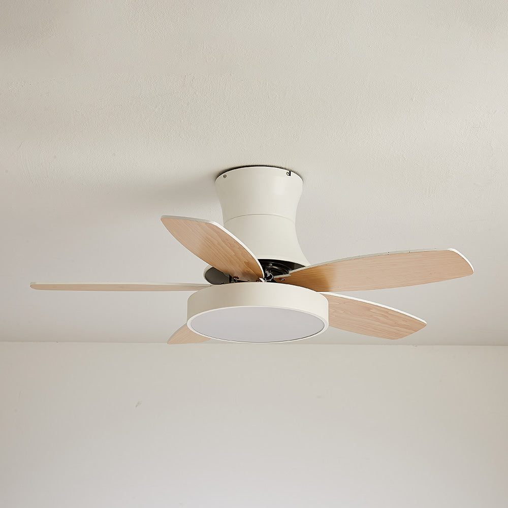 Acrylic Minimalist LED Ceiling Fan with Light for Stylish Bedroom Comfort and Modern Home Décor