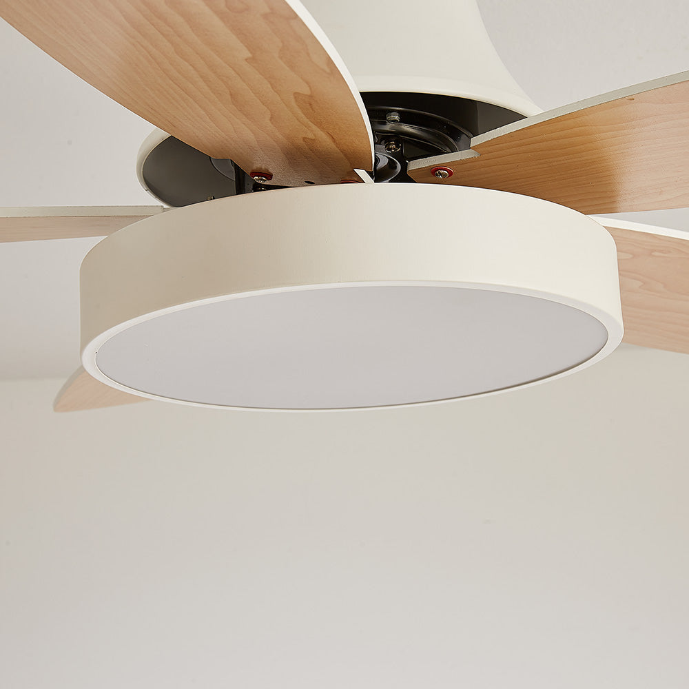 Acrylic Minimalist LED Ceiling Fan with Light for Stylish Bedroom Comfort and Modern Home Décor