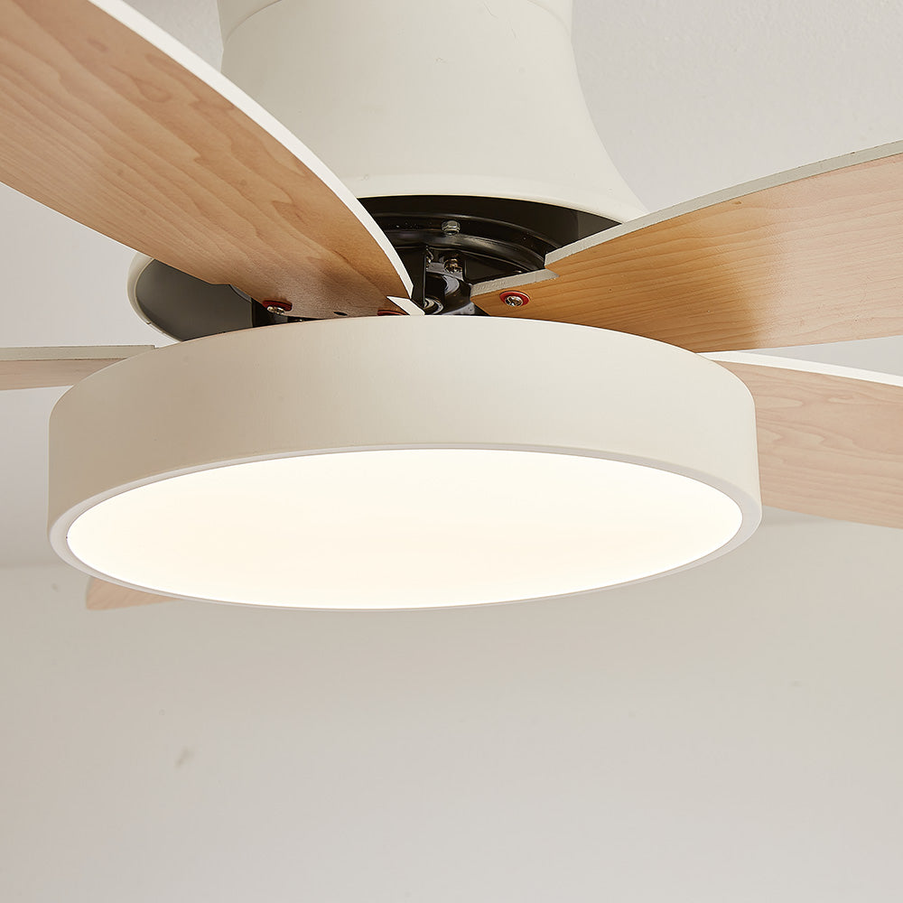 Acrylic Minimalist LED Ceiling Fan with Light for Stylish Bedroom Comfort and Modern Home Décor