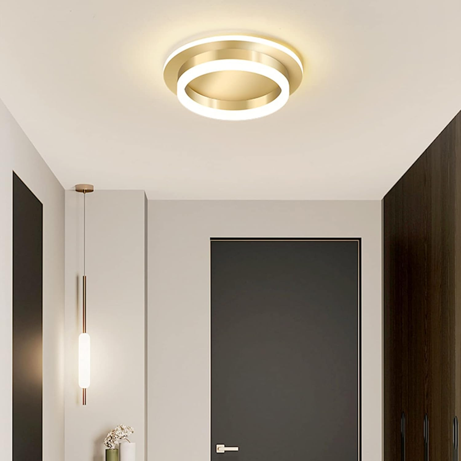 Sleek Modern Acrylic Ceiling Light Fixture for Hallway Illumination and Stylish Home Décor