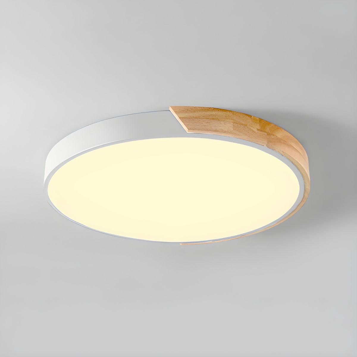 Vibrant LED Round Ceiling Lights – Colourful and Simple Illumination for Modern Homes and Spaces