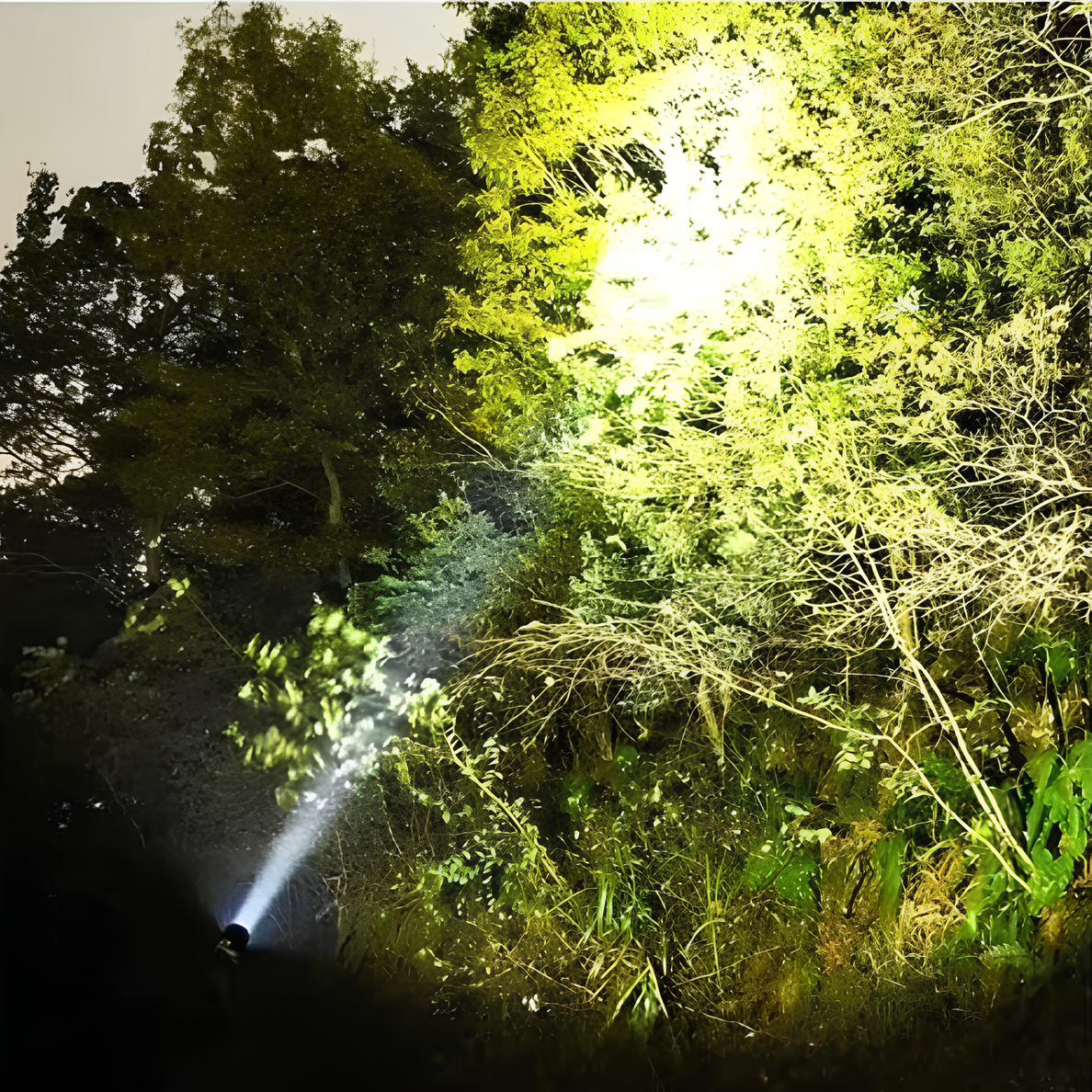 Wiederaufladbare LED-Taschenlampe mit langem Lichtstrahl