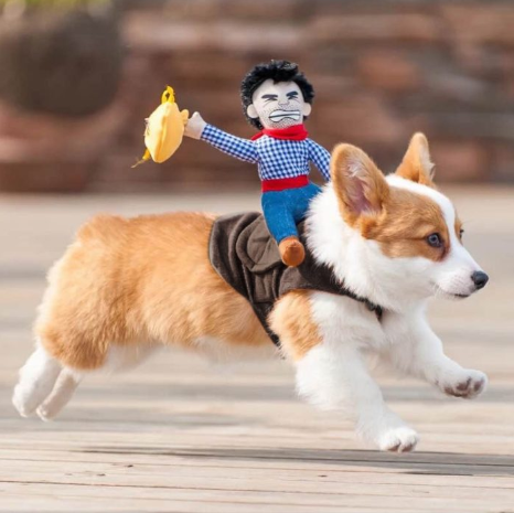 Hilarious Cowboy Costume for Dogs - Image 1