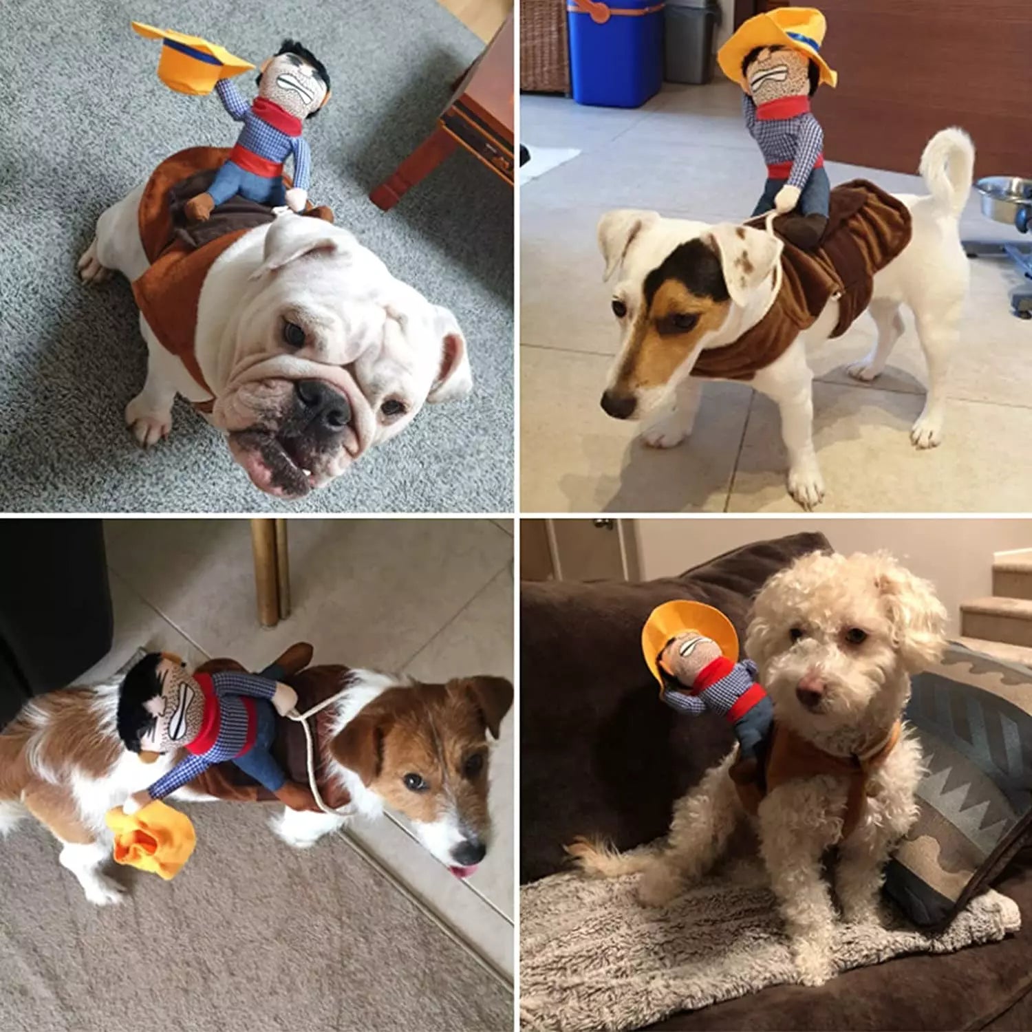Hilarious Cowboy Costume for Dogs - Image 6