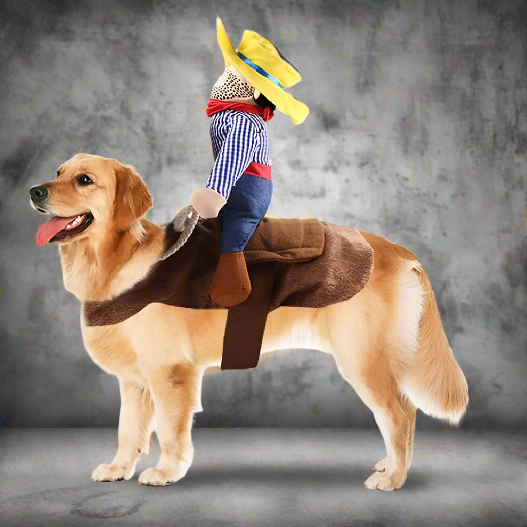 Hilarious Cowboy Costume for Dogs - Image 10