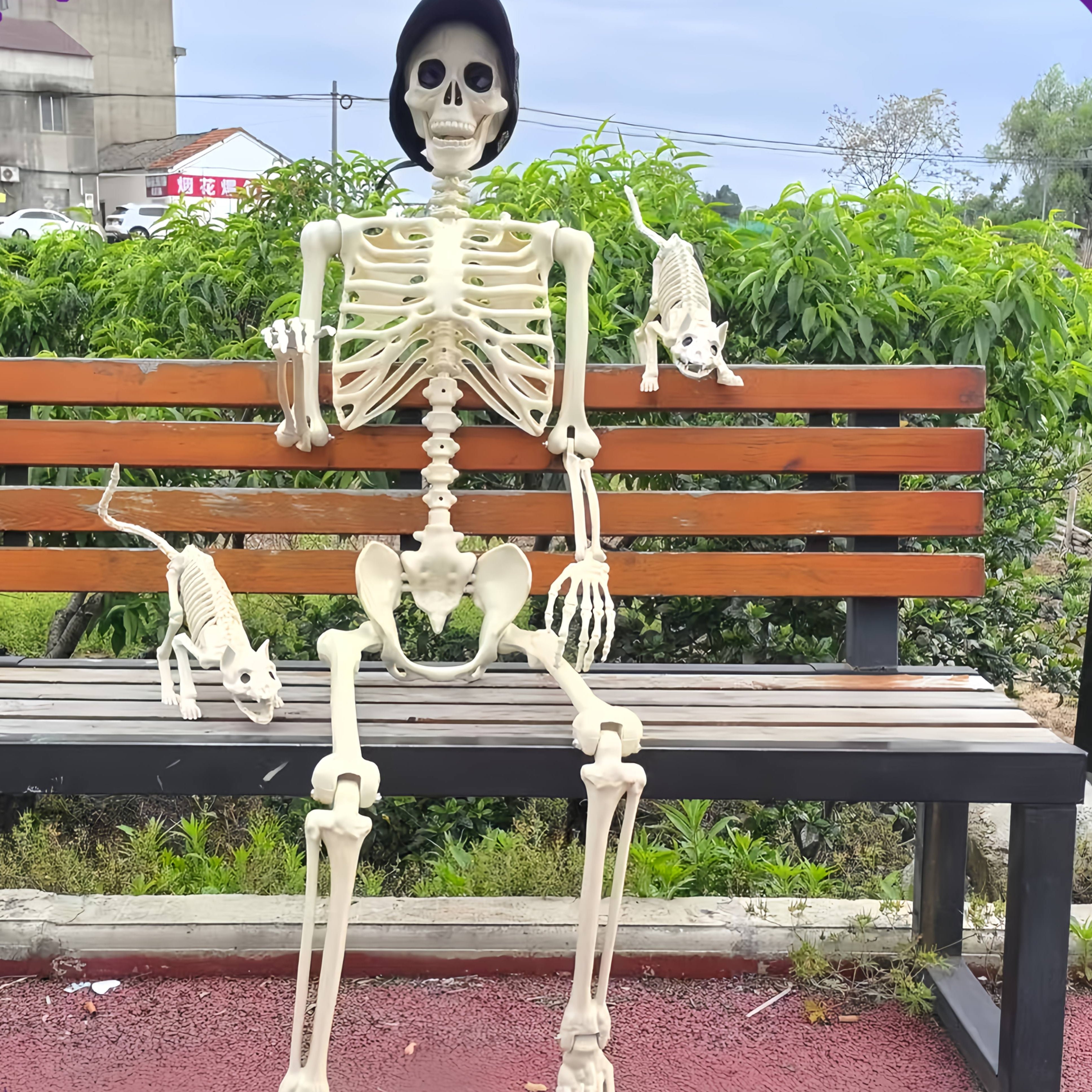 Halloween Decor Poseable Skeleton Set