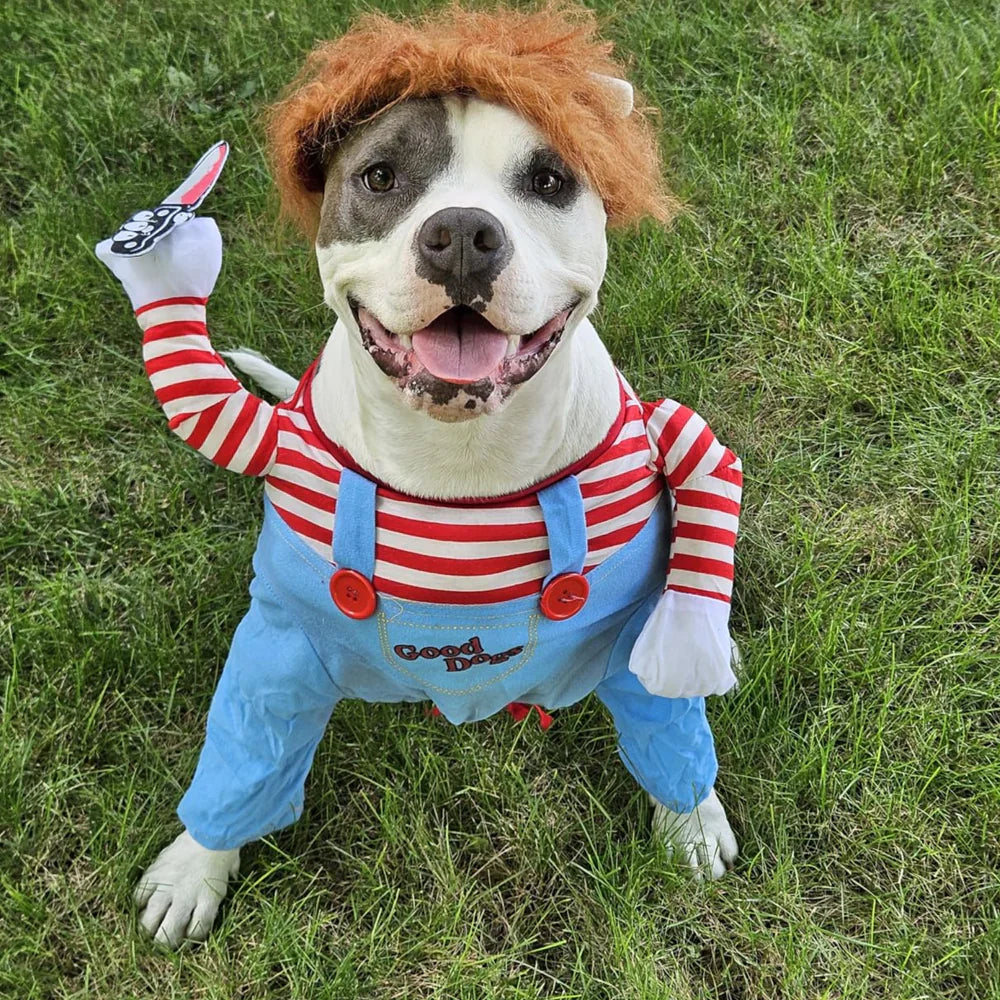 Haunting Pet Costume for Spooky Celebrations - Image 8