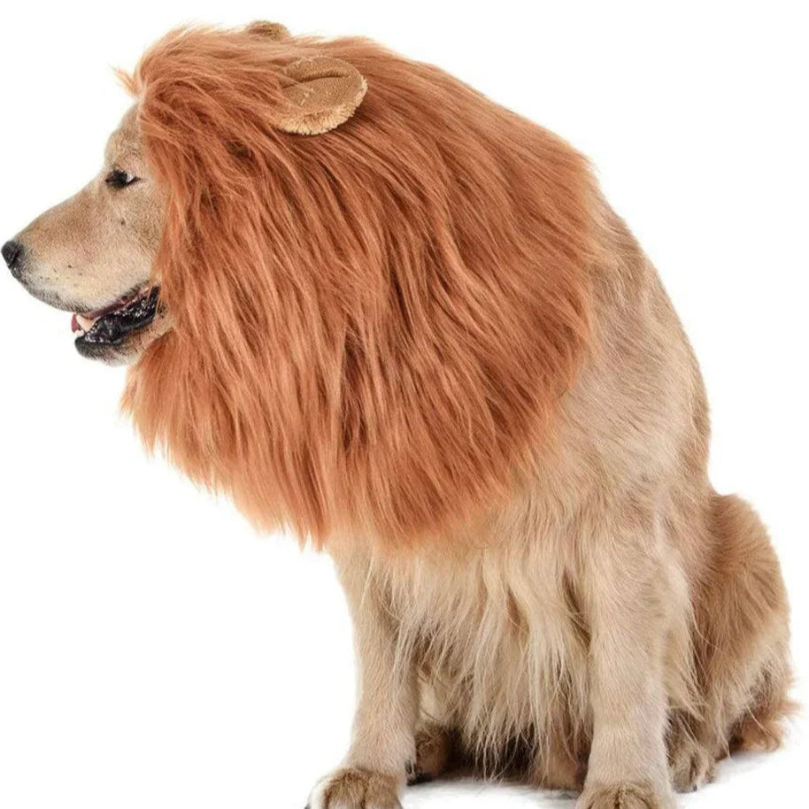 Majestic Lion Mane Dog Costume for Halloween - Image 1