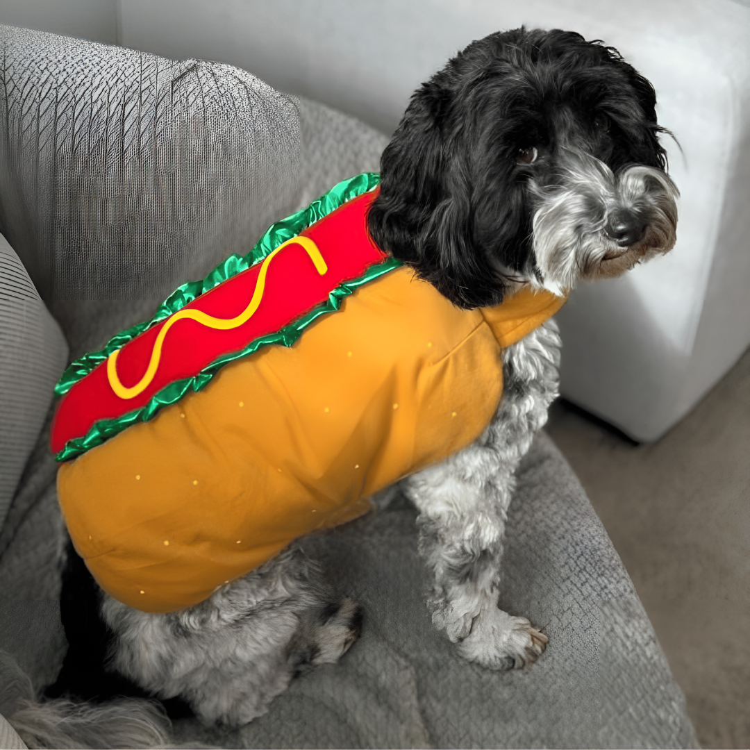 Disfraz de perro caliente para mascota de Halloween