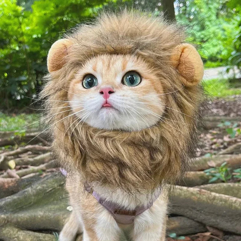 Majestic Lion Mane Costume for Cats - Image 1