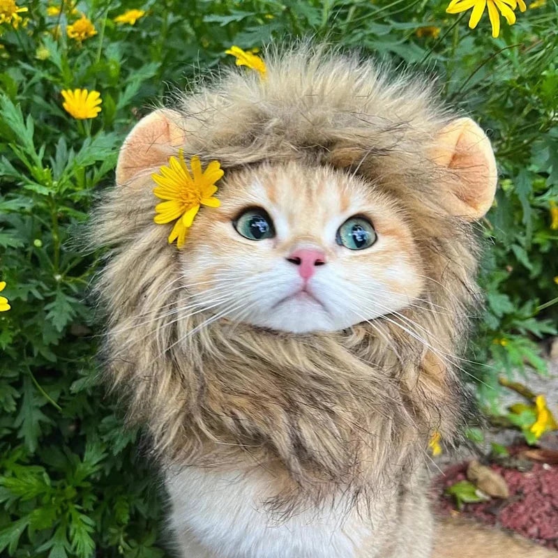 Majestic Lion Mane Costume for Cats - Image 3