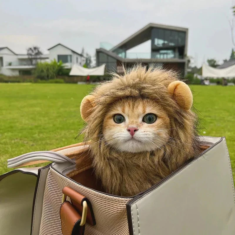 Majestic Lion Mane Costume for Cats - Image 5