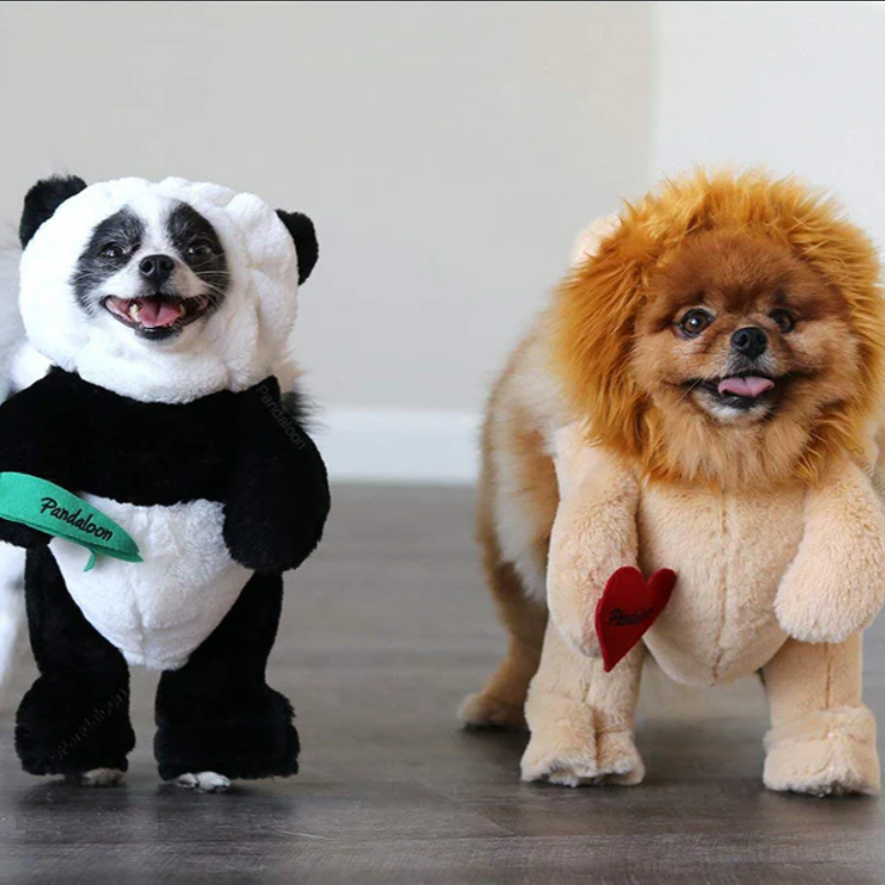Adorable Panda Costume for Dogs - Image 2