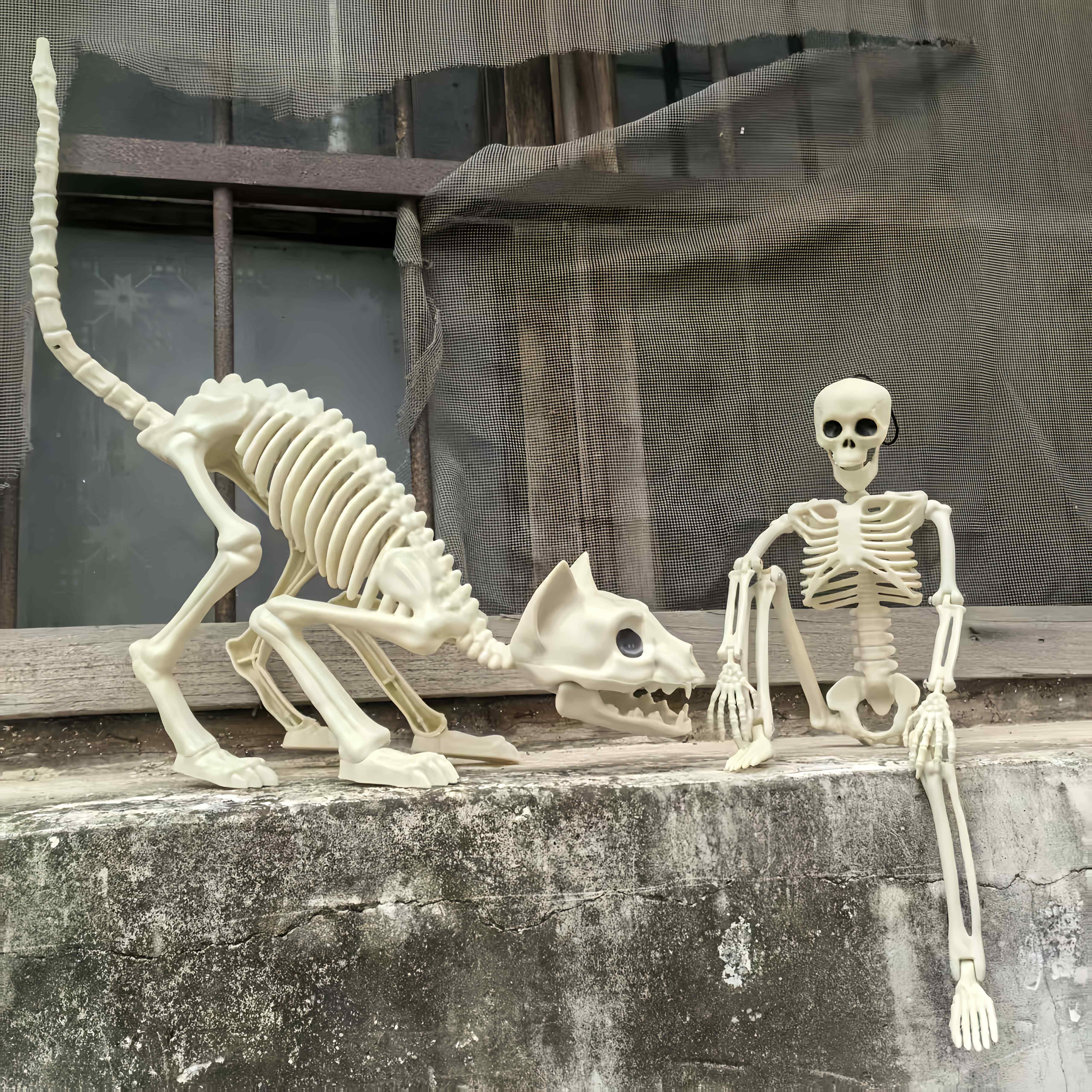 Set de decoración de esqueleto de Halloween 3 piezas