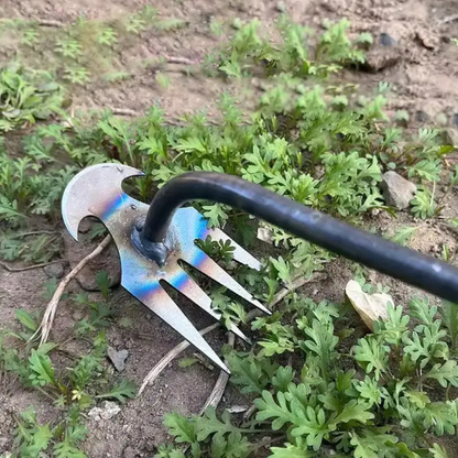 Outil de désherbage de jardin robuste