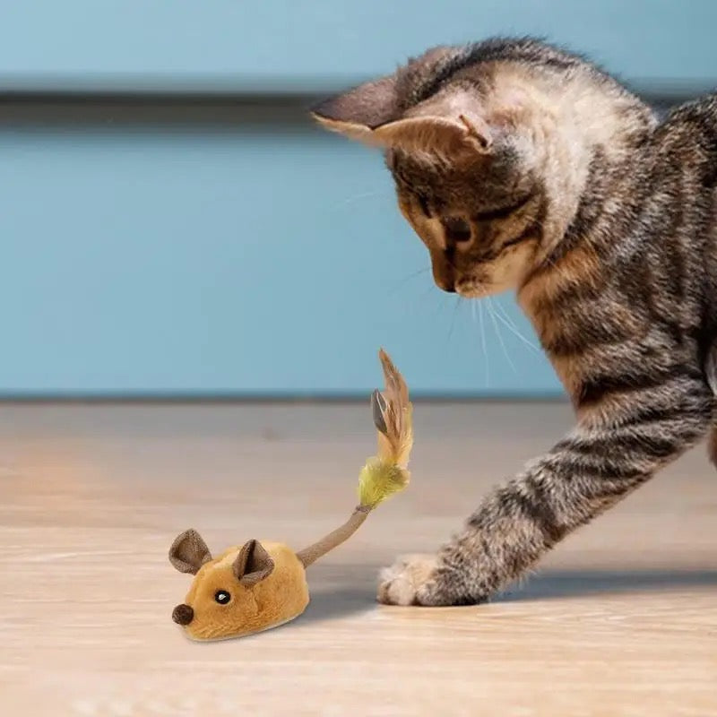 Katzenspielzeug Interaktive Plüschmaus mit Schwanz