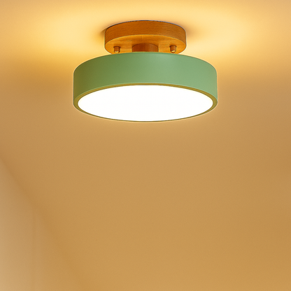 Modern Ceiling Light Fixture Semi Flush Mount Lighting Wood Branch