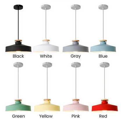 Pendant Light in Colourful Metal Finish