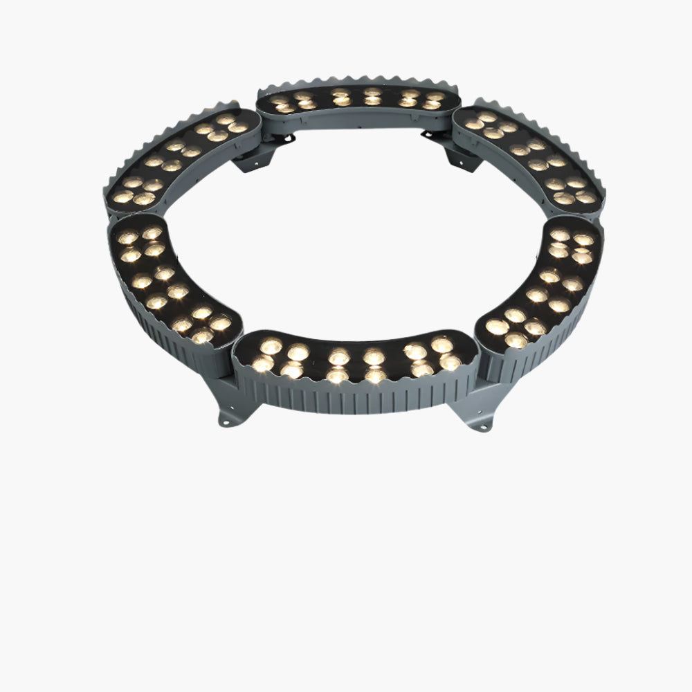 Outdoor Lighting Ring for Tree Illumination
