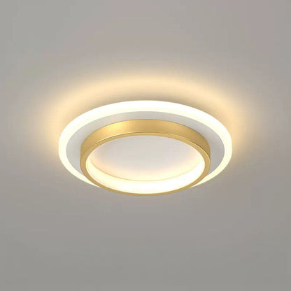 LED Ceiling Light Modern Flush Mount Fixture