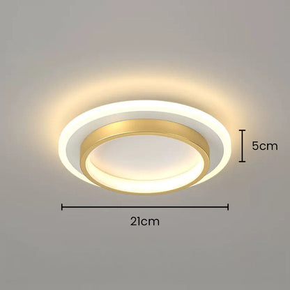 LED Ceiling Light Modern Flush Mount Fixture
